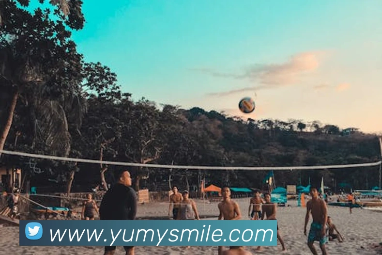 米乐m6发展历程